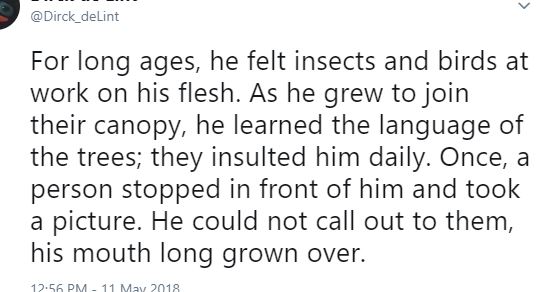 Twitter screen capture: For long ages, he felt insects and birds at work on his flesh. As he grew to join their canopy, he learned the language of the trees; they insulted him daily. Once, a person stopped in front of him and took a picture. He could not call out the them, his mouth long grown over.